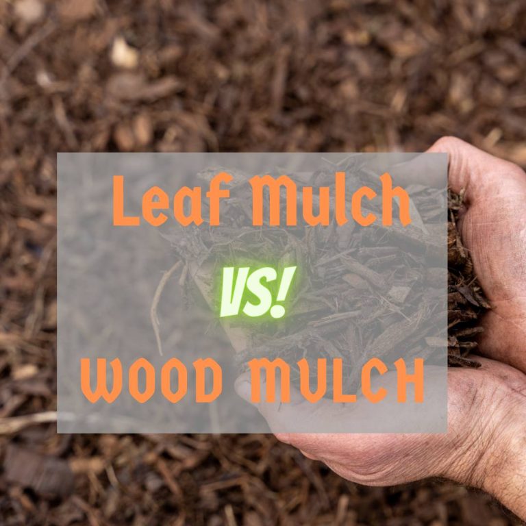 Leaf Mulch vs Wood Mulch: Choose the Right Mulch for Your Garden