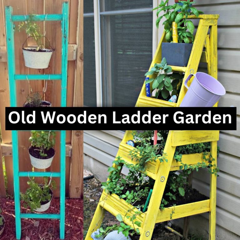Creative Old Wooden Ladder Garden Ideas 2023
