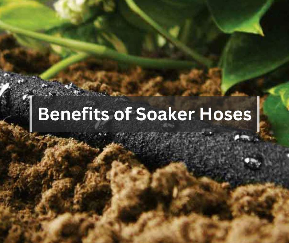 Benefits of Soaker Hoses in Your Garden