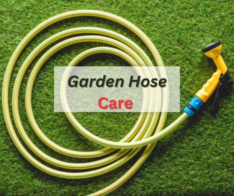 How To Properly Care Garden Hose? (Guidelines, Tips, And Tricks)
