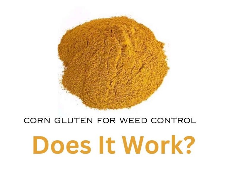 Using Corn Gluten for Weed Control – Does It Work?