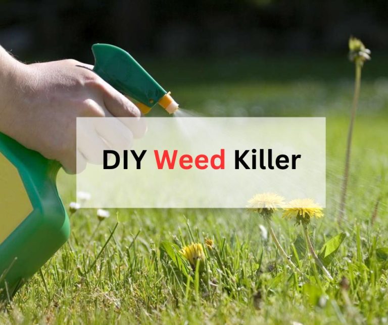 Baking Soda for Weed Control: DIY Weed Killer That Works