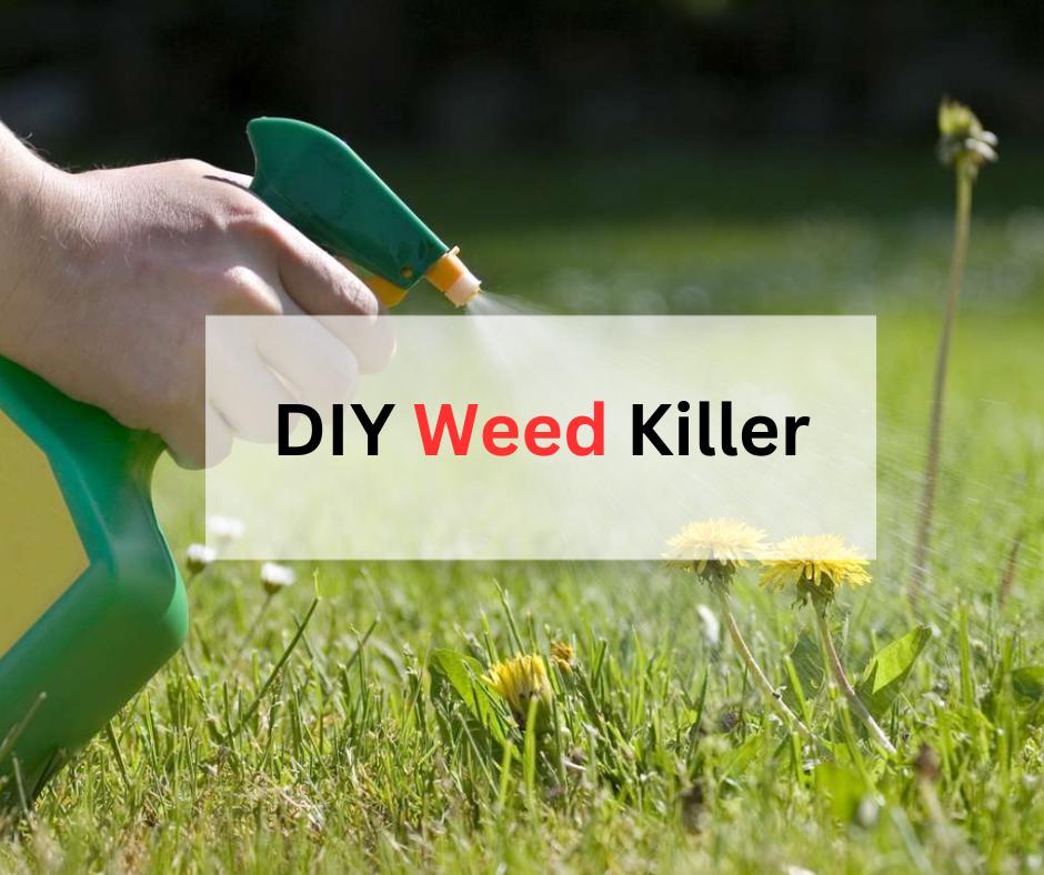 Baking Soda for Weed Control