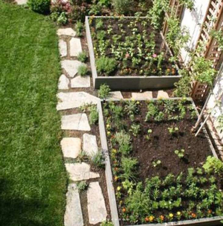 13 Backyard Vegetable Garden Designs, Tips And Layouts For Novice ...