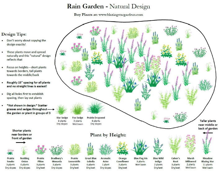 Rain Garden Design