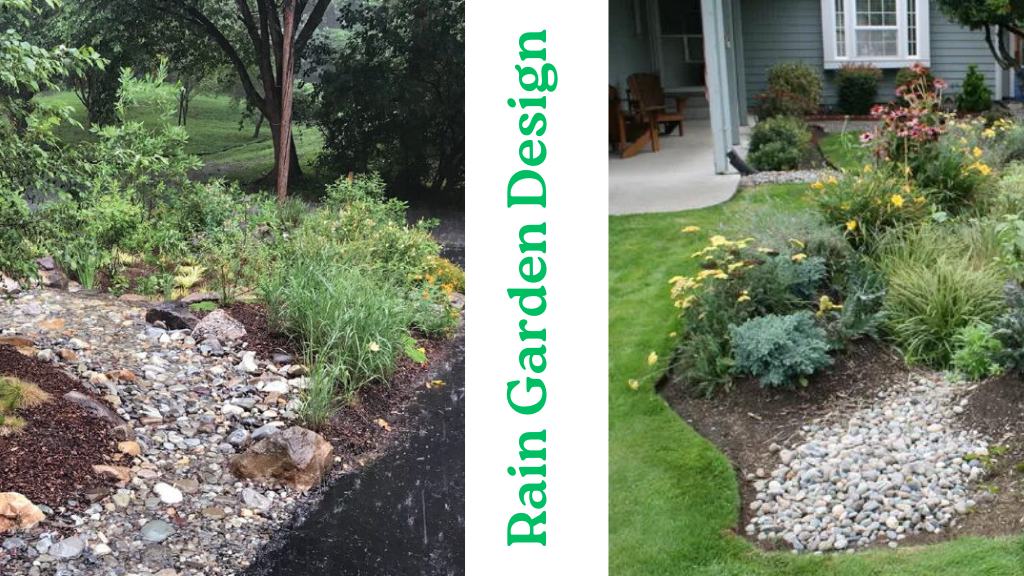 Rain Garden Design