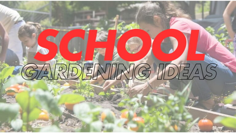 Garden Design Ideas for School